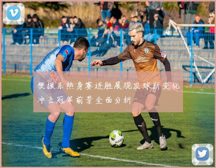 樊振东热身赛连胜展现发球新变化冲击冠军前景全面分析